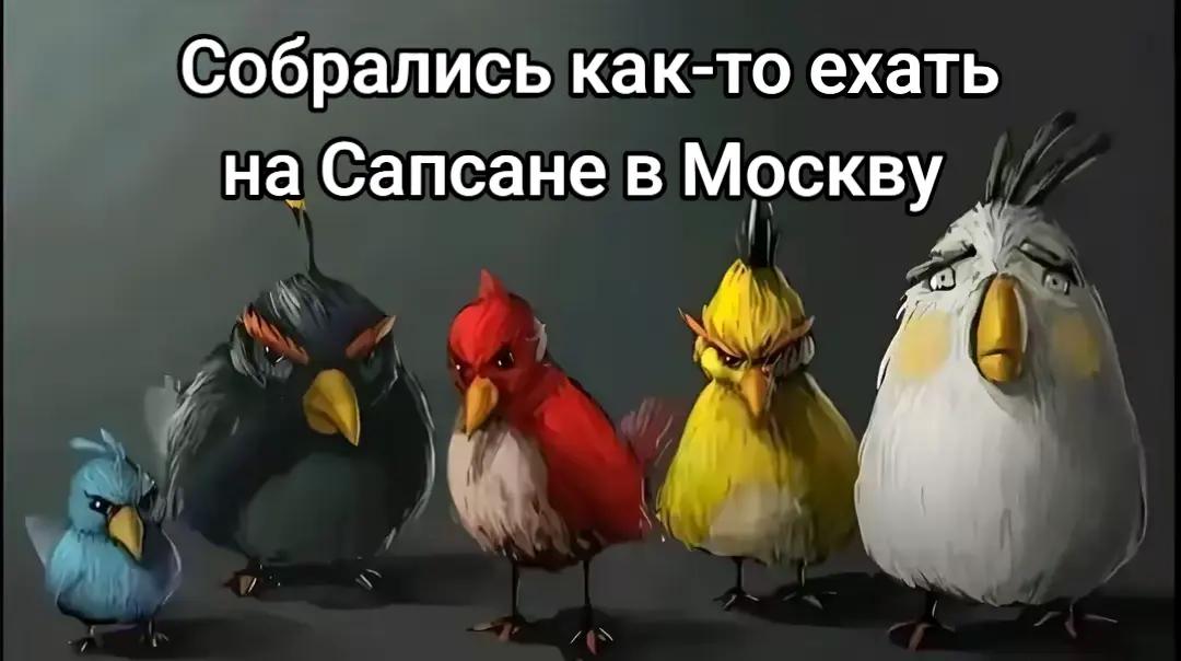 @🤍𝕊𝕒𝕡𝕤𝕒𝕟𝕠𝕧𝕒🤍