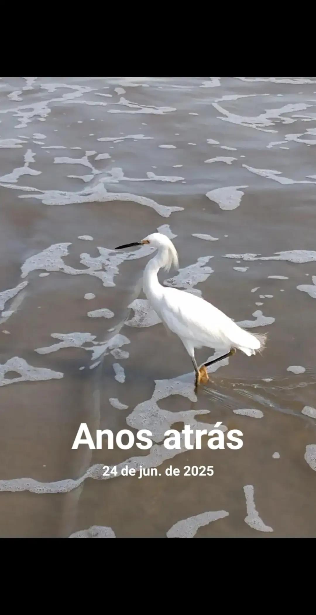 @Maria Luiza De Camar
