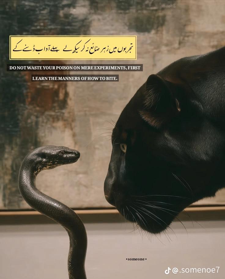 @👑گجراتی منڈے