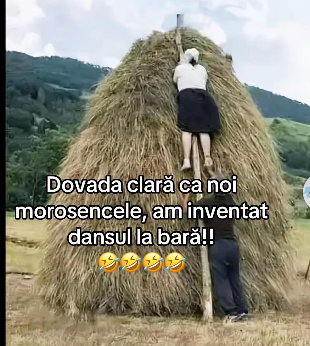 @Ileana Radu