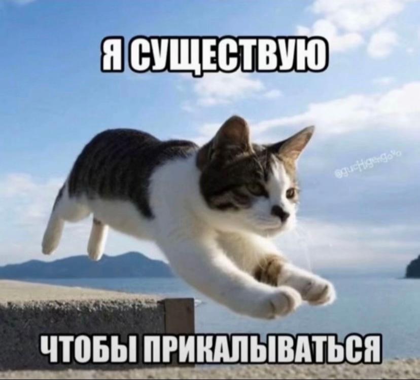 @ilyhaking