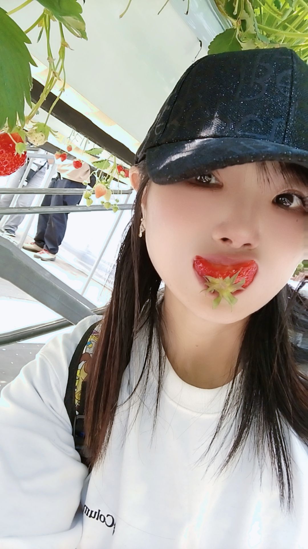 @hito侍🎯🐯野沢菜ちゃん🍀🐯🐬🌼🏝️