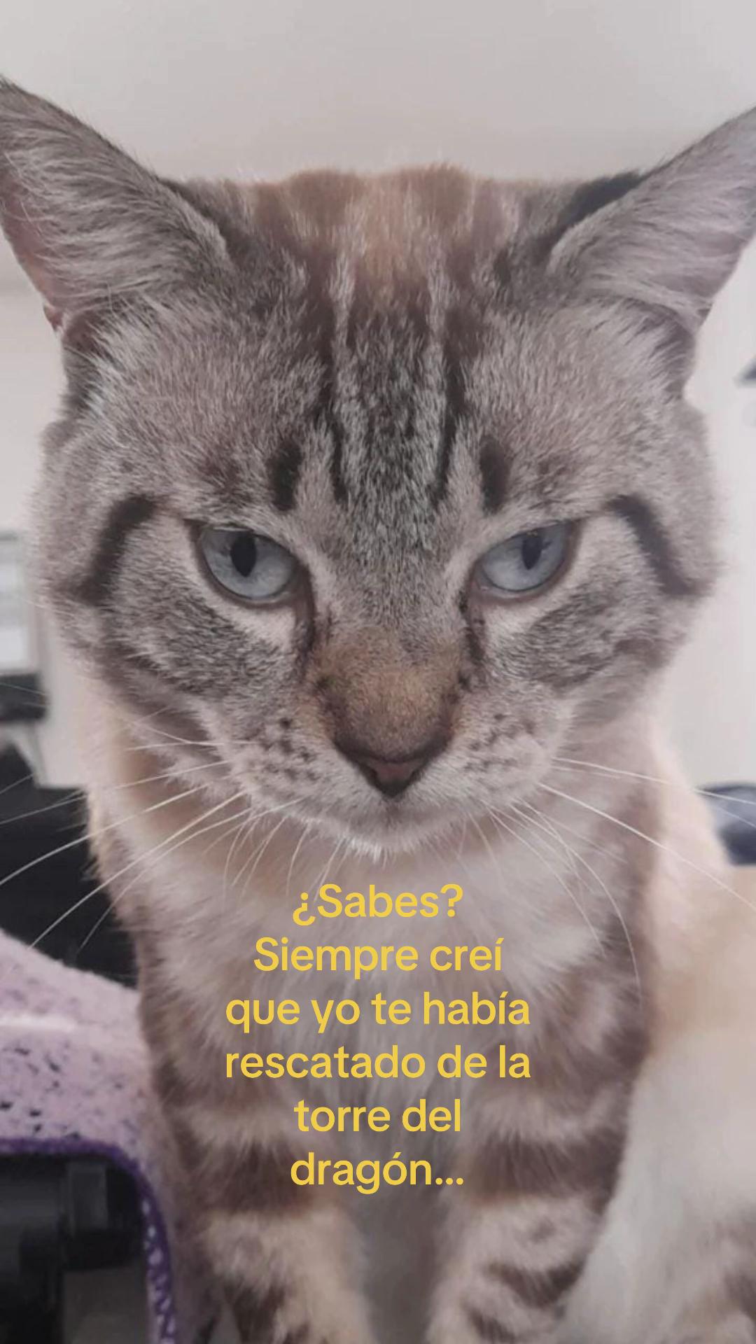 @tabathalvarez