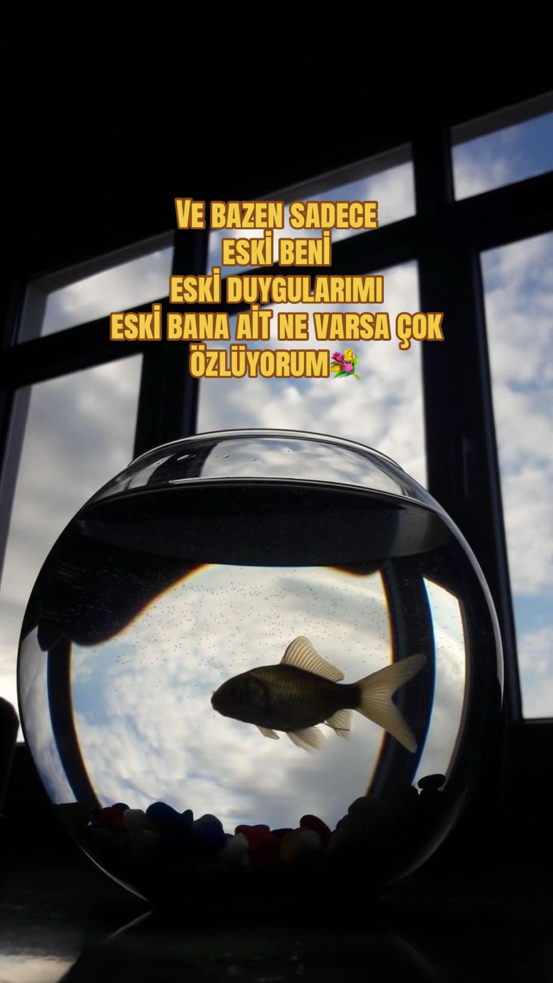 @GİZEM AKKUŞ🇹🇷