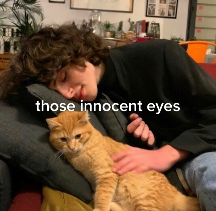 @finn is beautiful 🤭