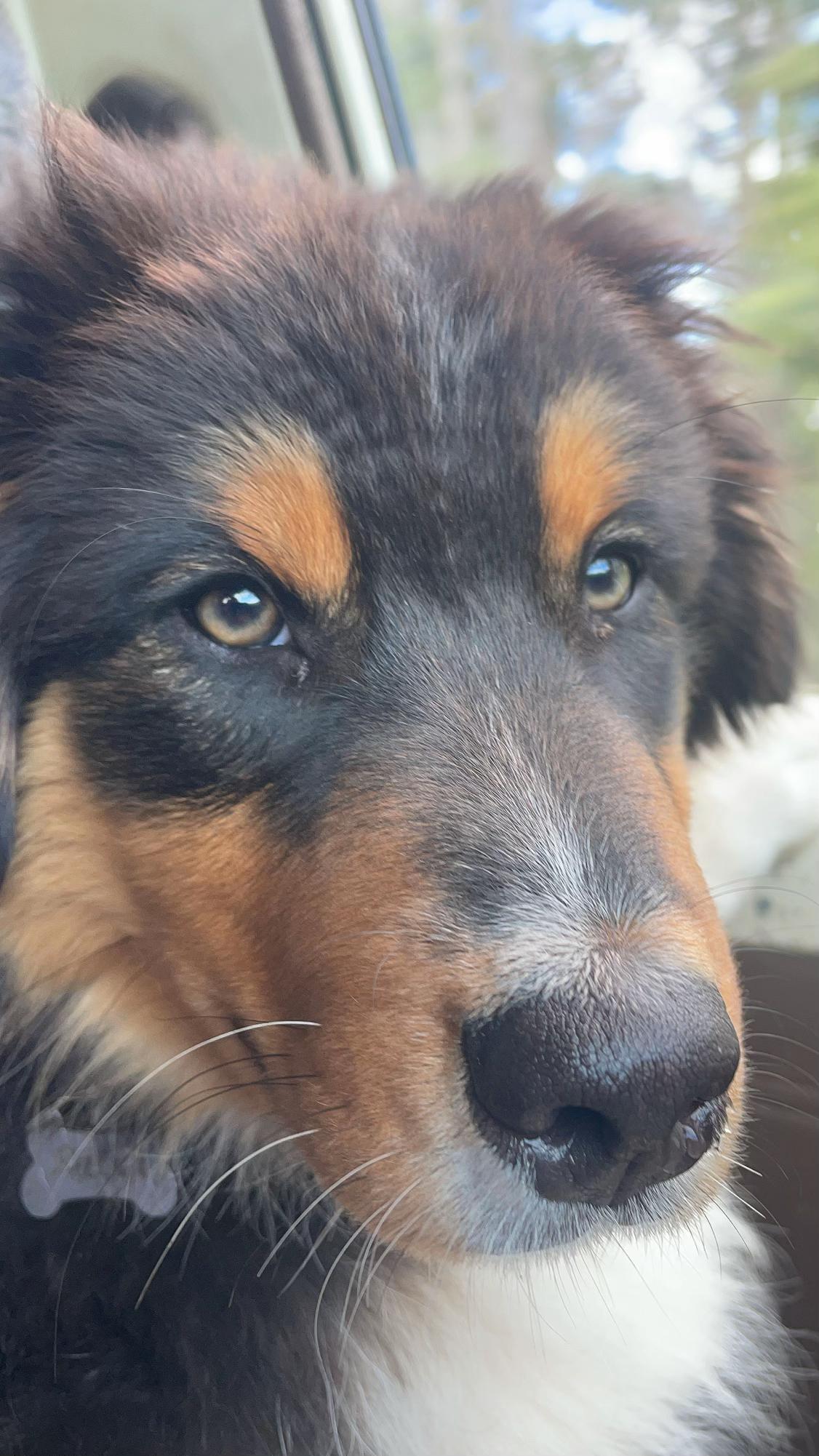 @Tiktok_Gambler