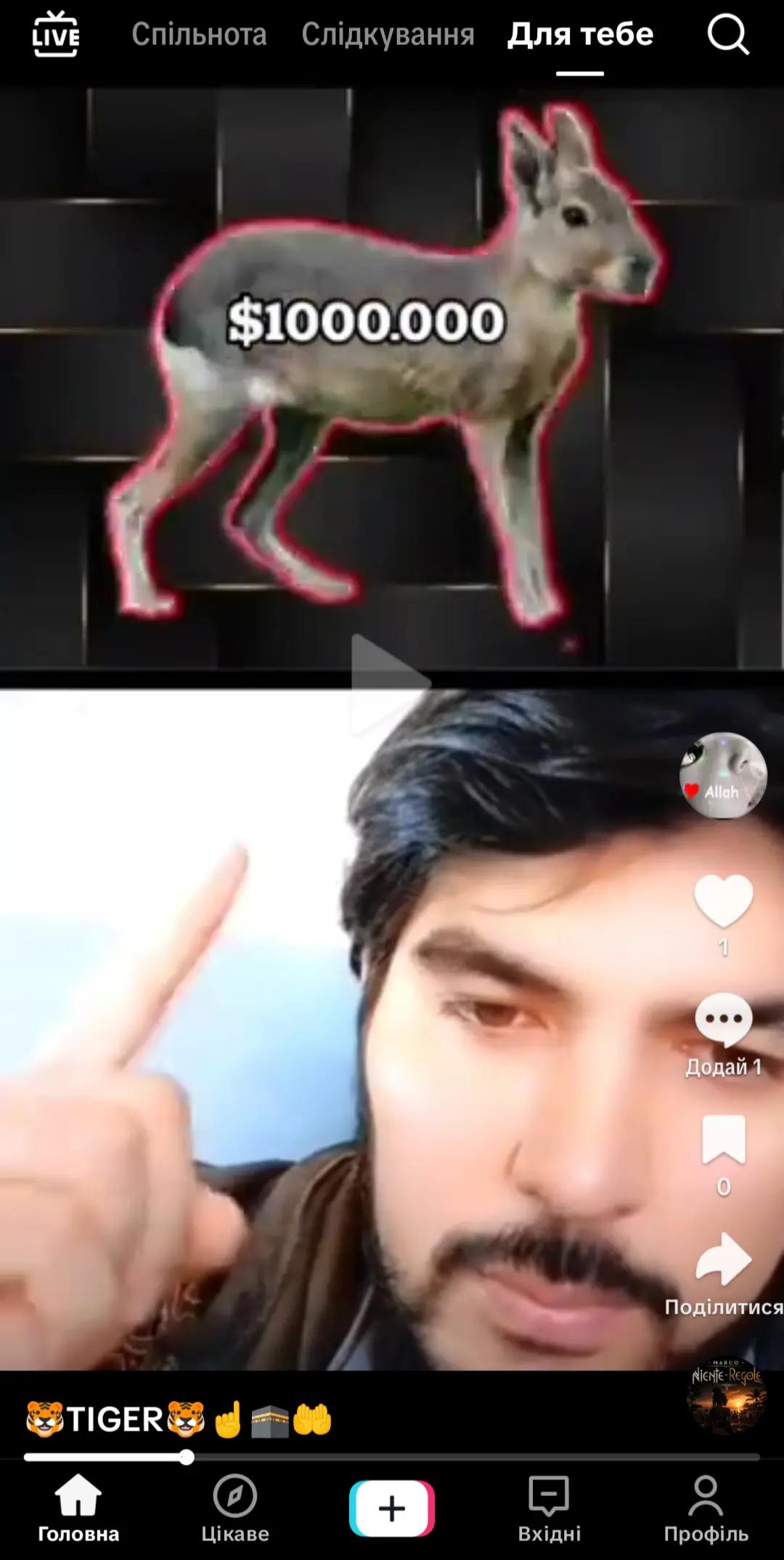 @nerpa62