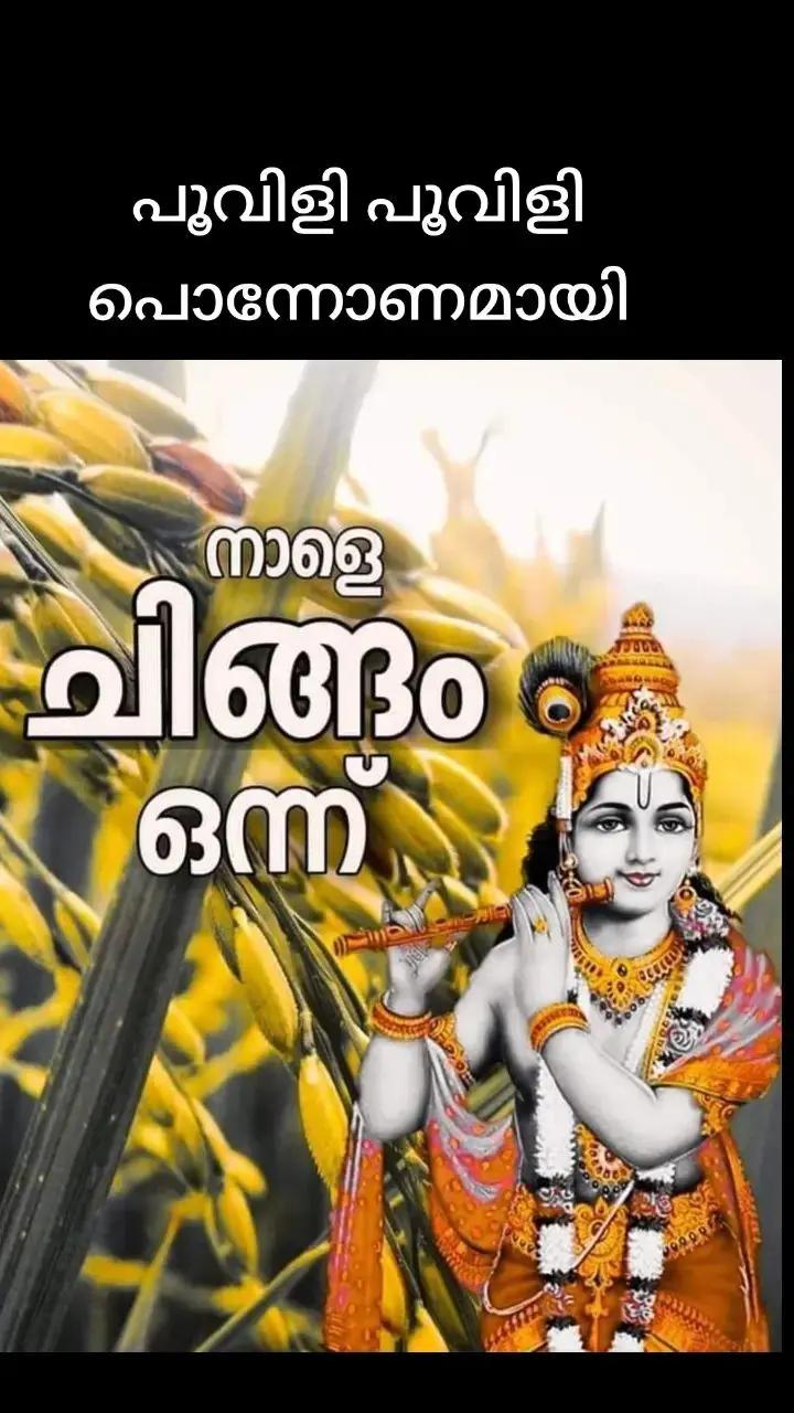 @q8mallu20