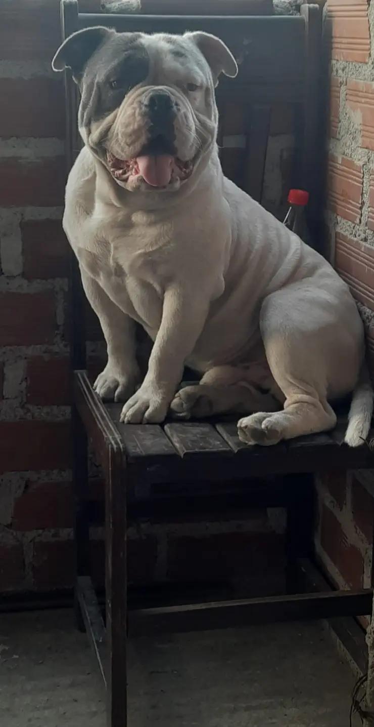 @carlosflores049
