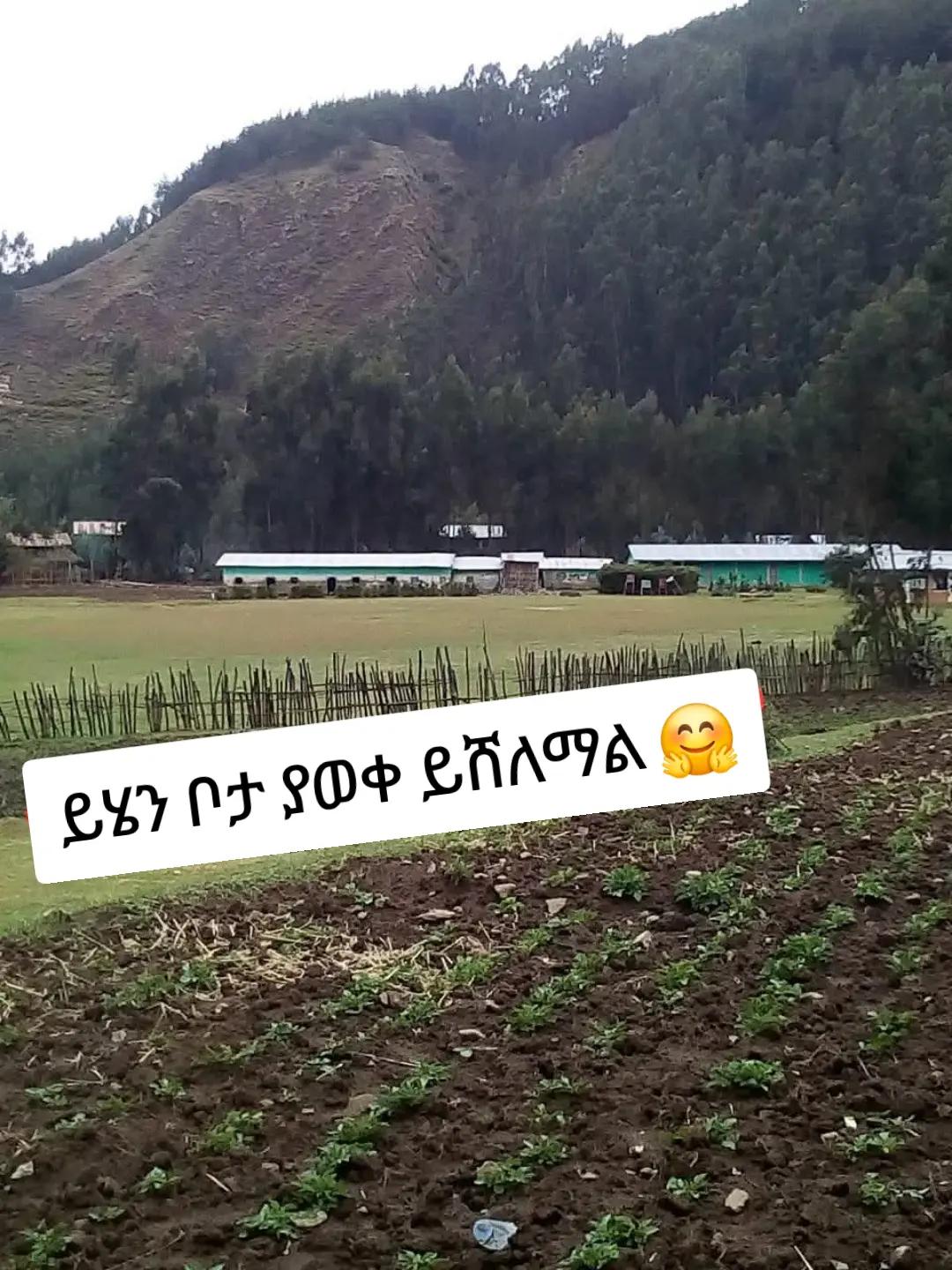 @ፀሐይ ጎንደሬዋ የአፄዎቹ ልጅ 🦁❤️