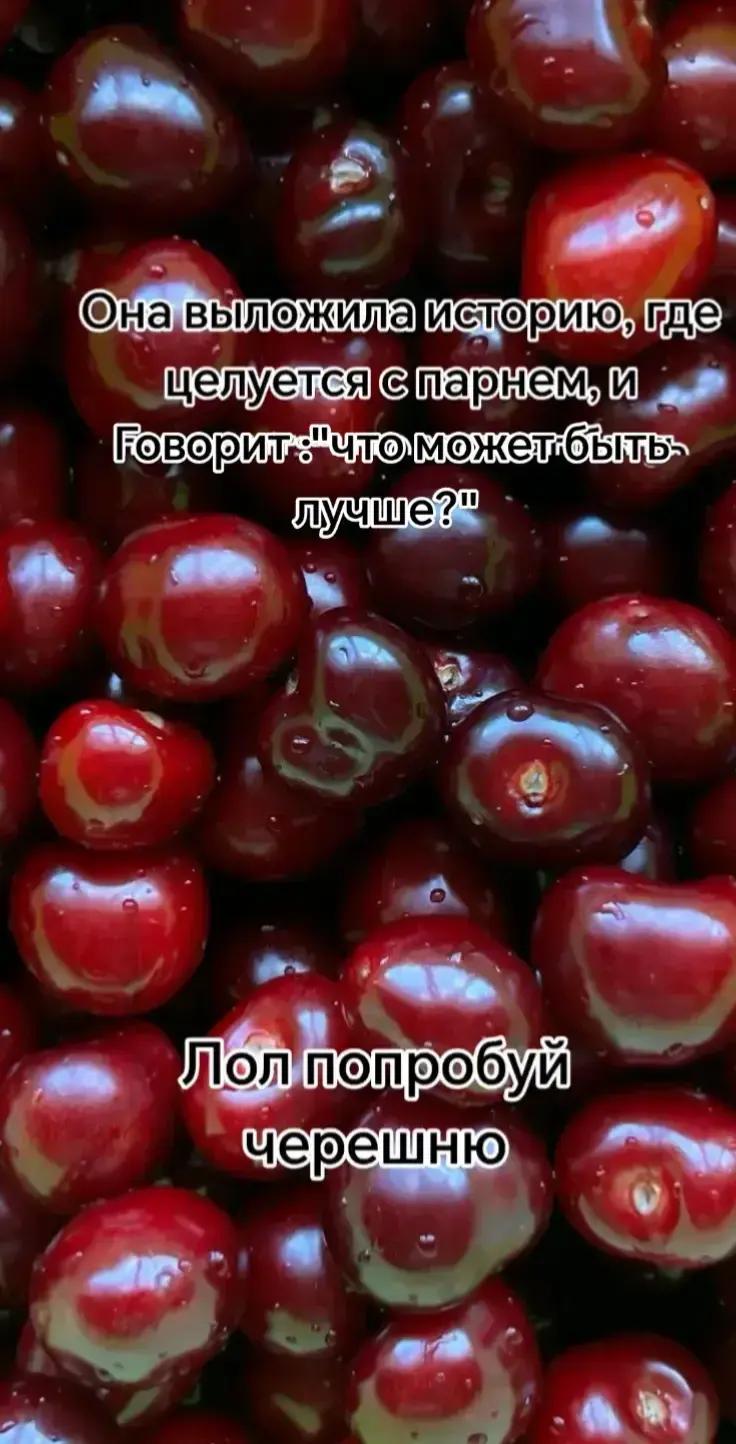 @хог раiдер
