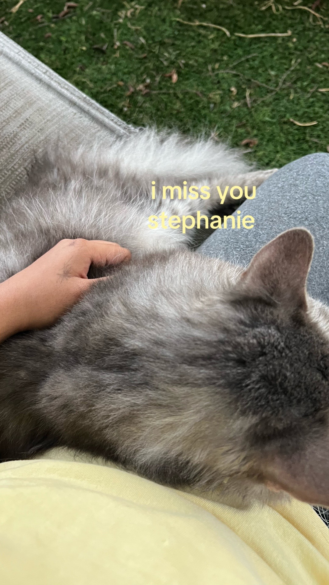 @𝓂𝑒𝑔𝓊𝓂𝒾𝒻𝓊𝓈𝒽𝒾𝑔𝓊𝓇𝑜