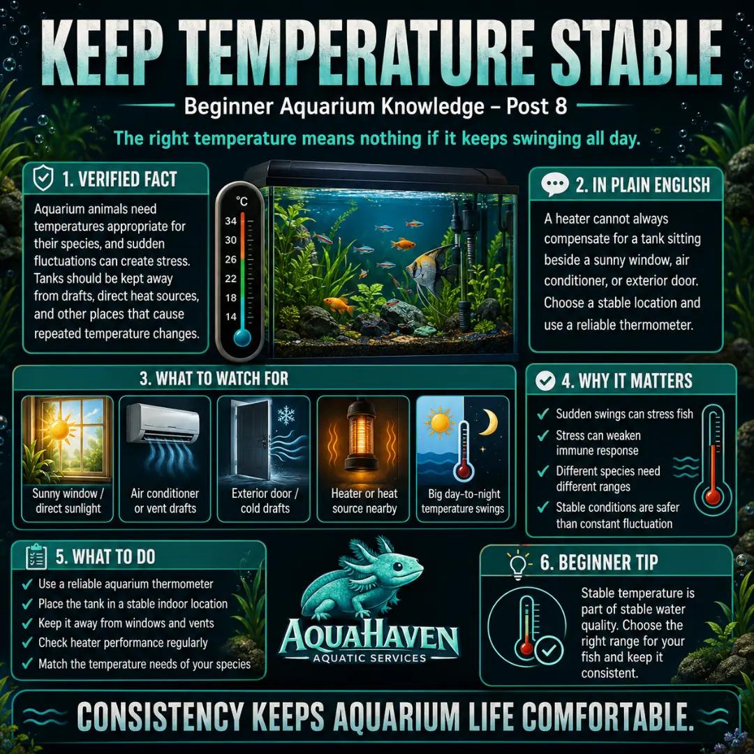 @AquaHaven™️🐠🌌🌊