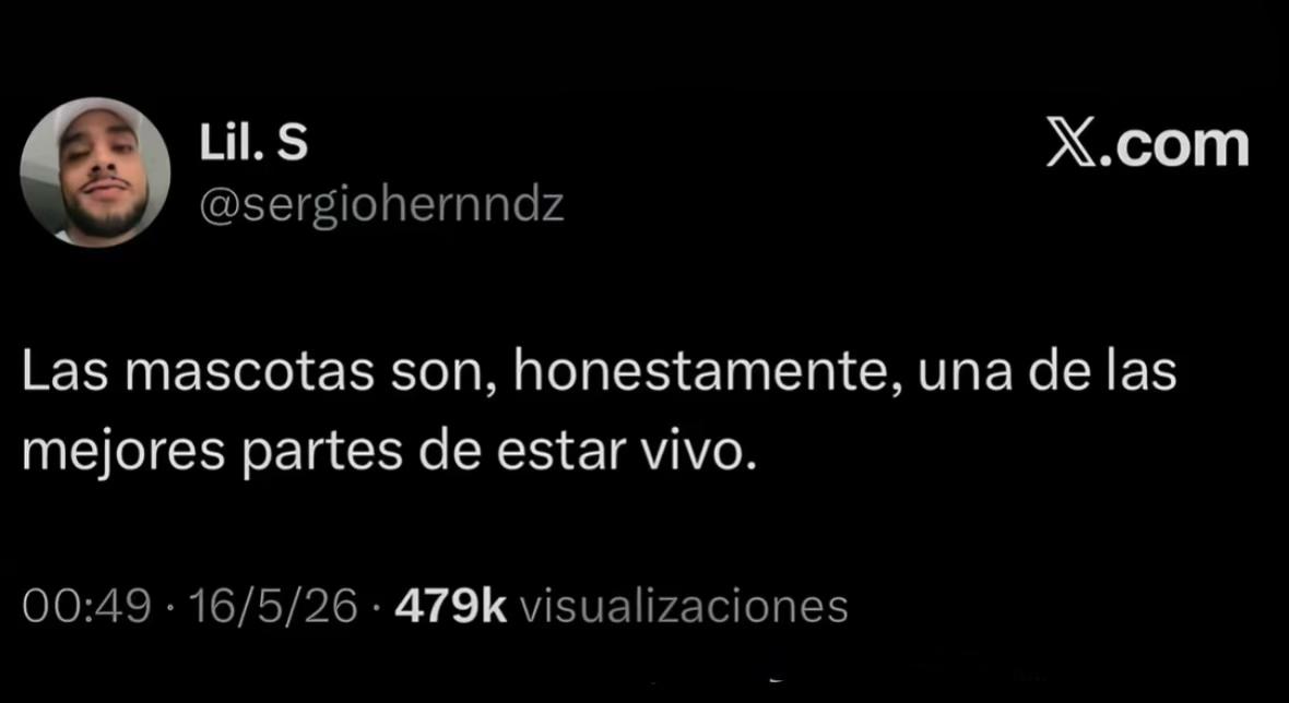 @Pao 🩷