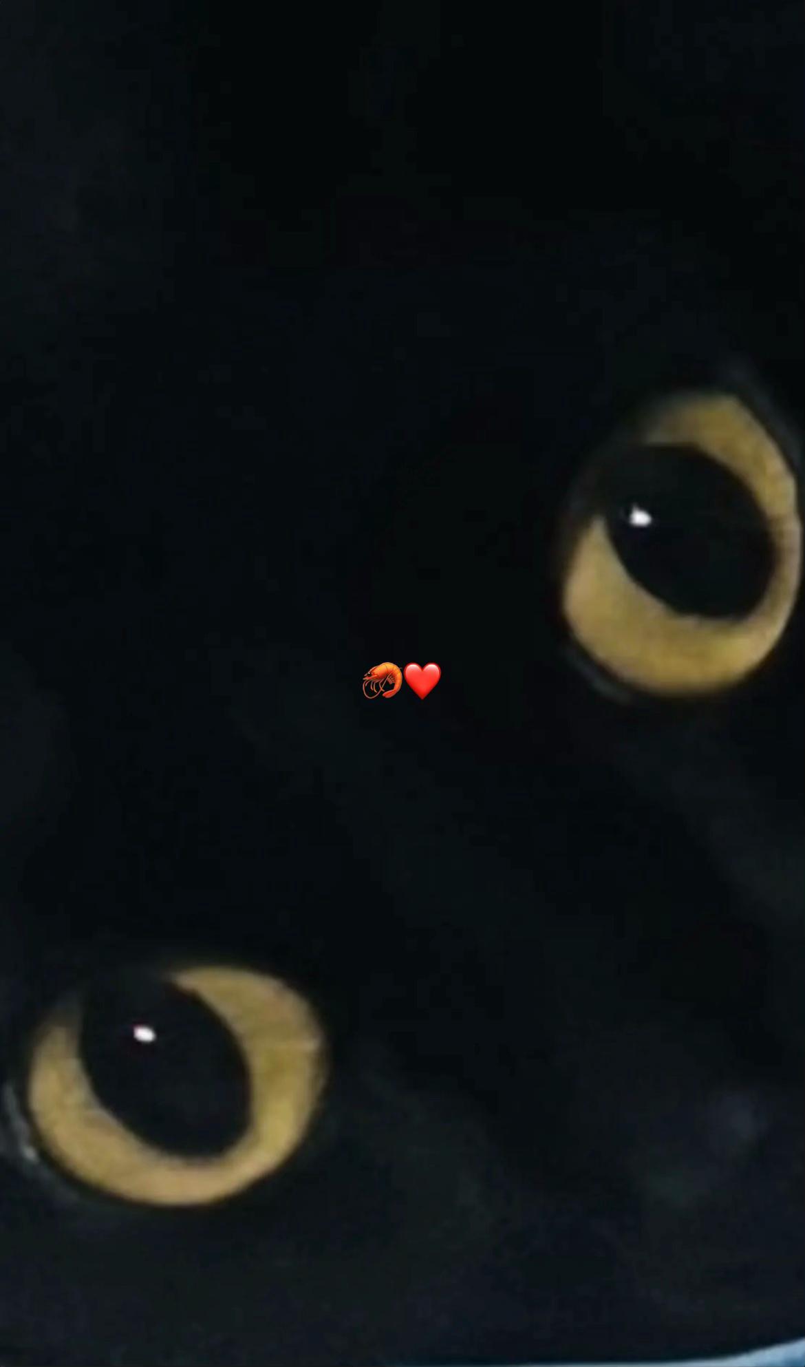 @Миланка обезьянка☝🏻😈🥵