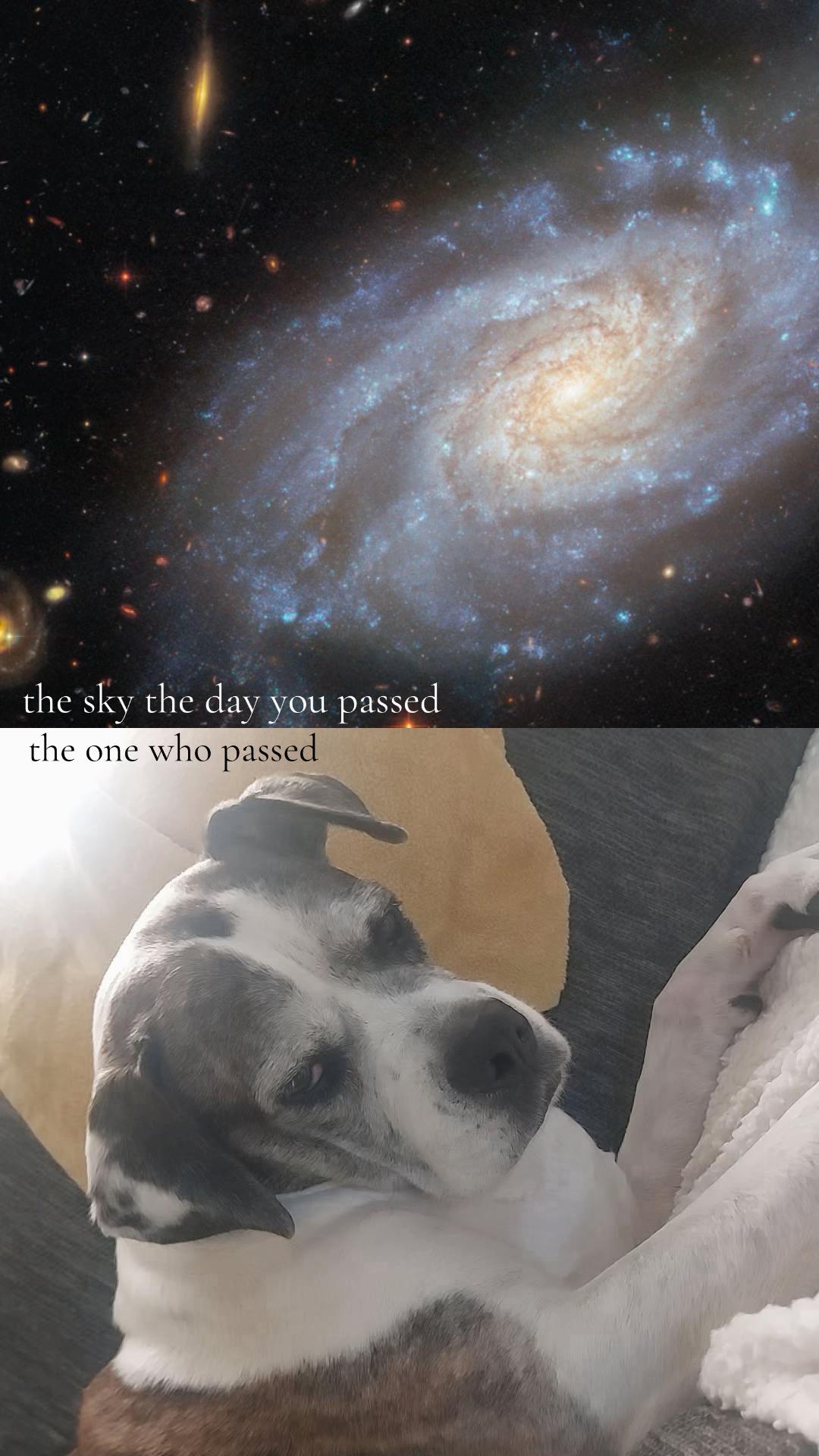 @♡𝒦𝒶𝒾𝓈𝒽𝒶♡