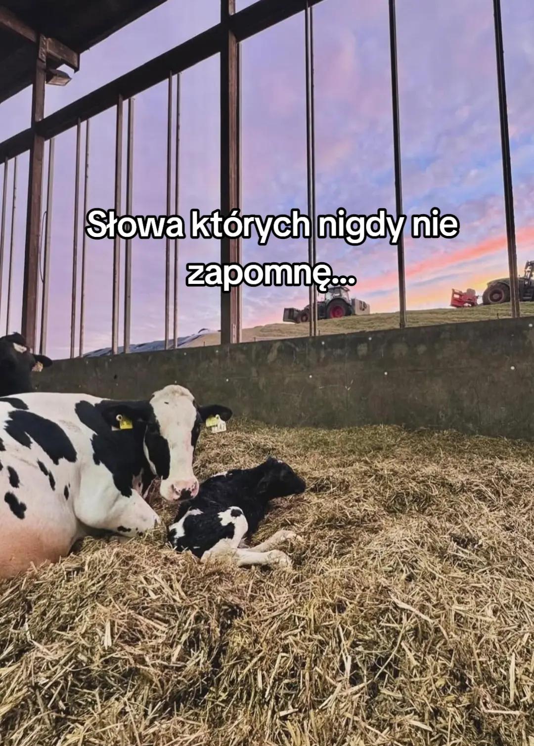 @Natusia Rolniczka 🚜