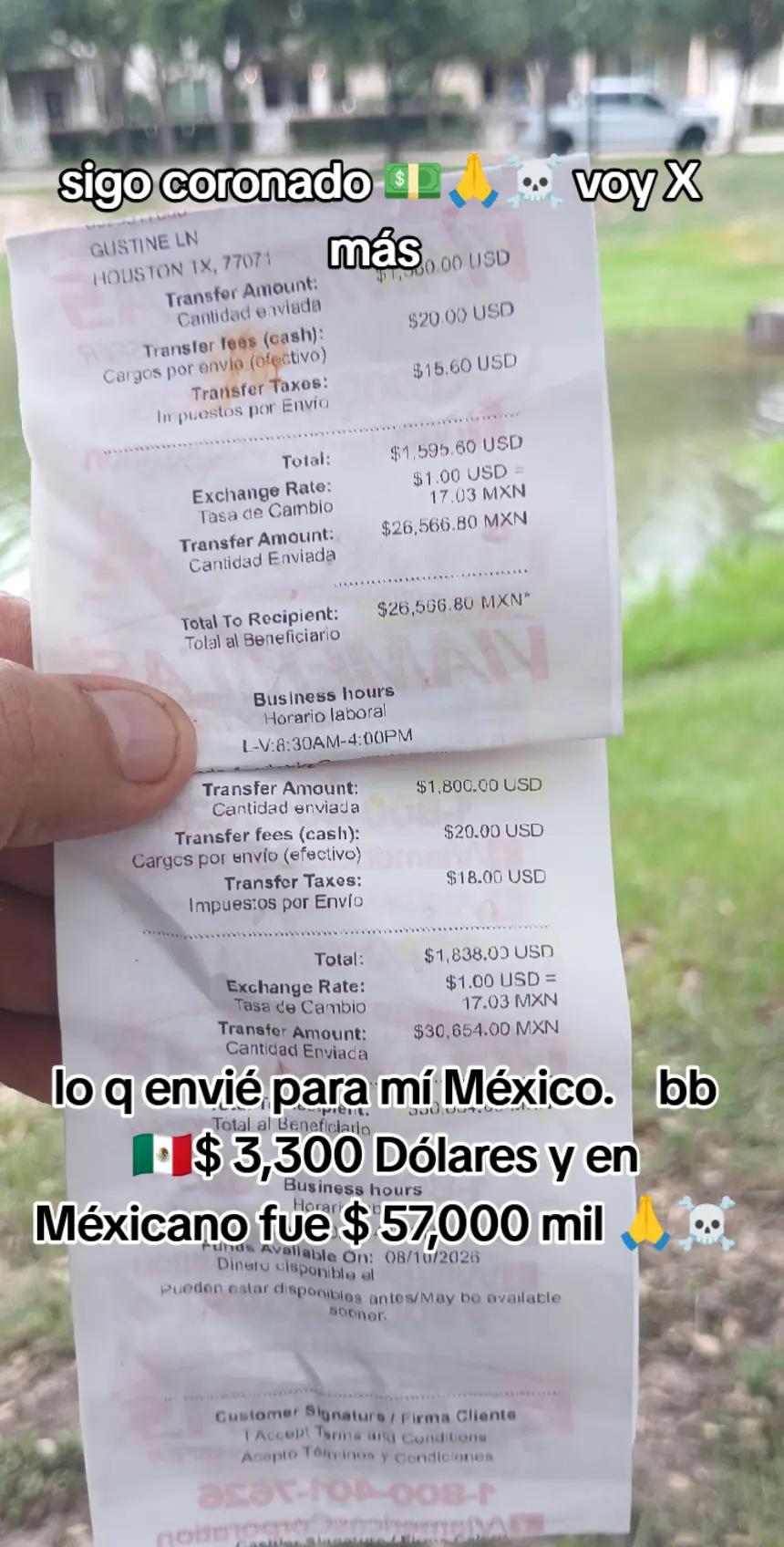 @el tigre 🐅 de Houston