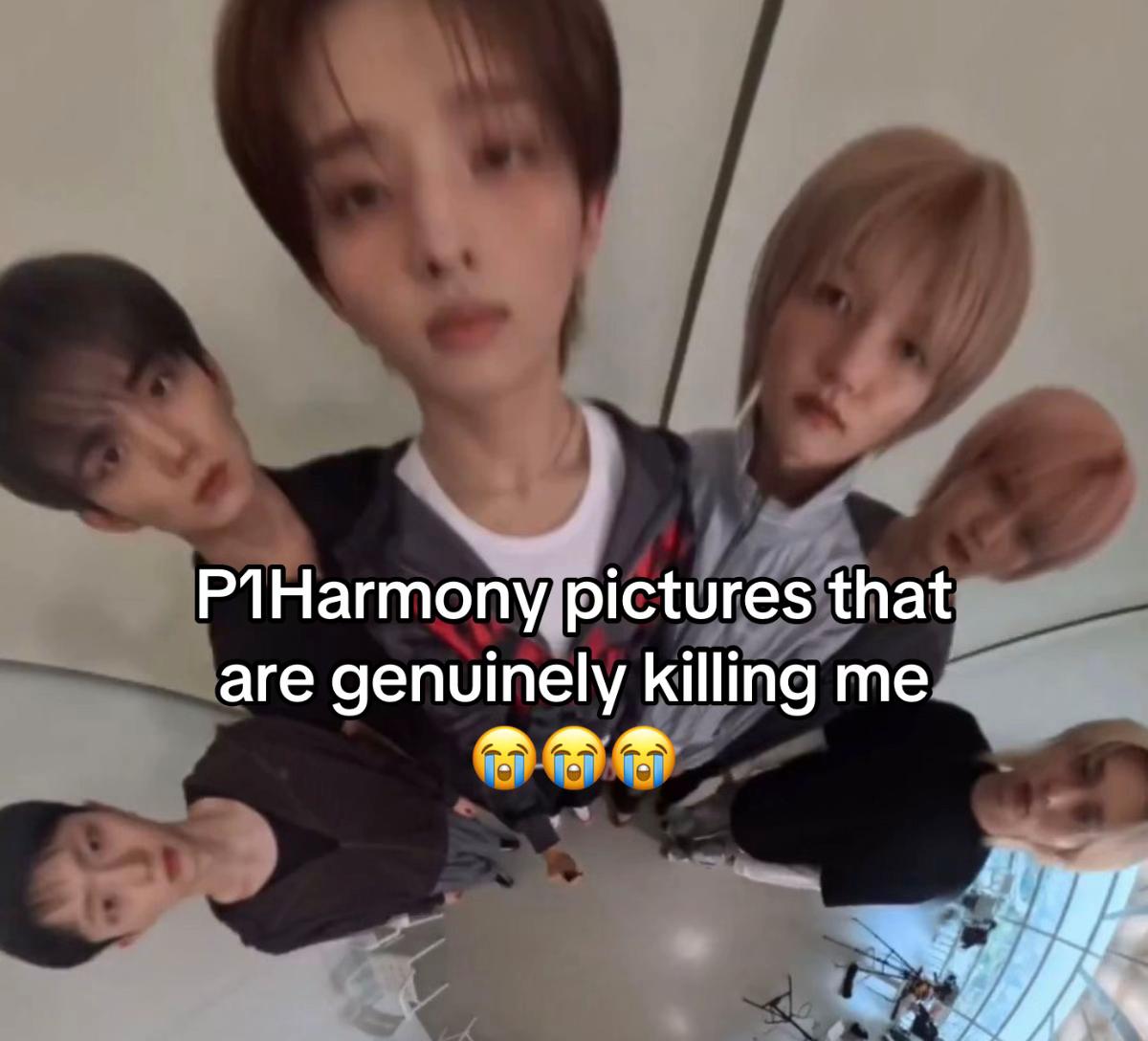 @키이라🫧 | saw piwon 5 times!🩷