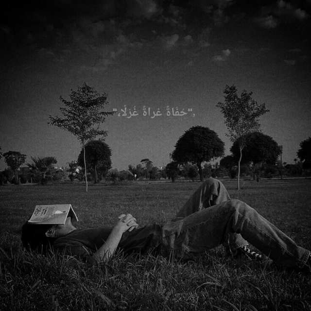 @✿ፍትህ ⚖️𓊉꧂ ᵗᵒᶠⁱᵏ ▓ ►🏹