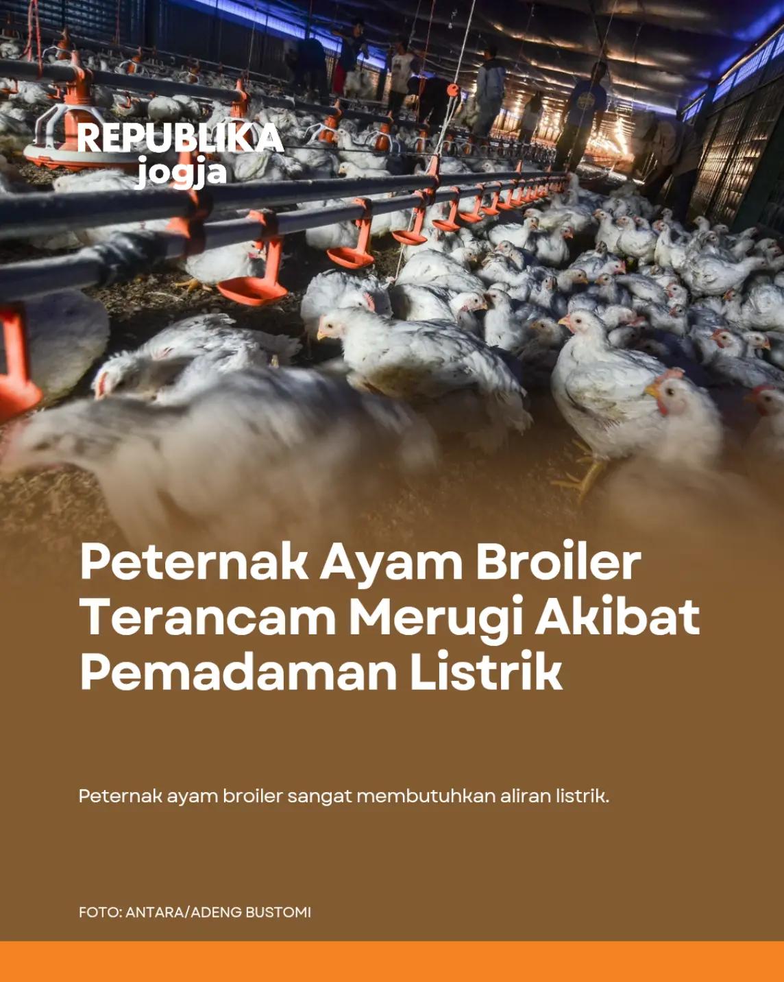 @Republika Jogja