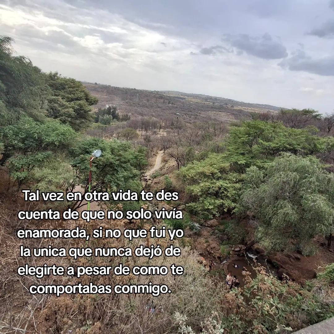 @Patogtz