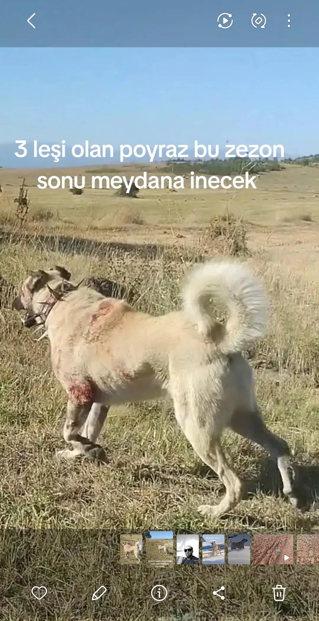 @erdogan 25