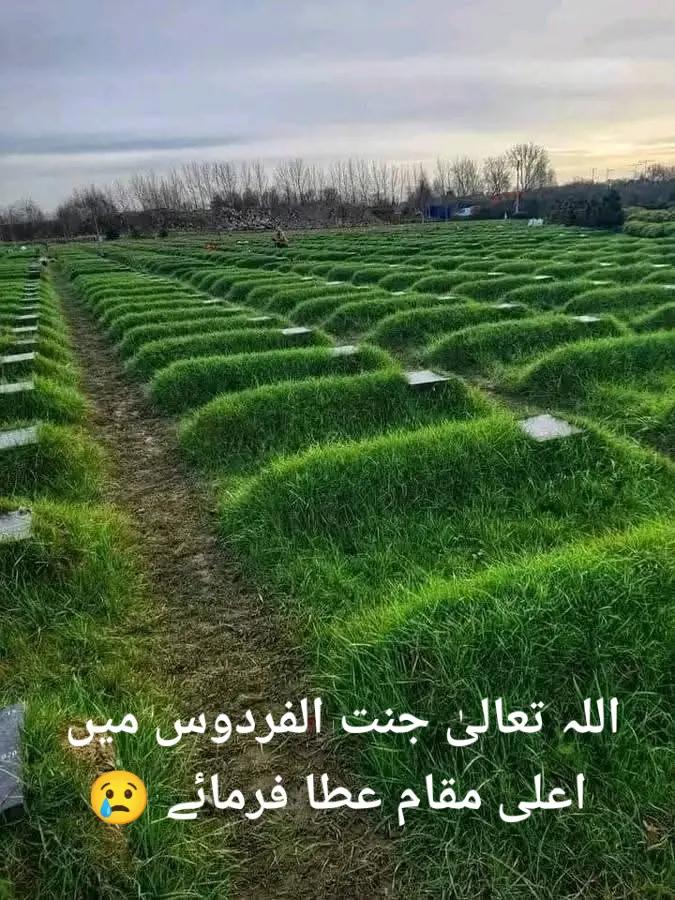 @👑S-Qadeer🫀🥀