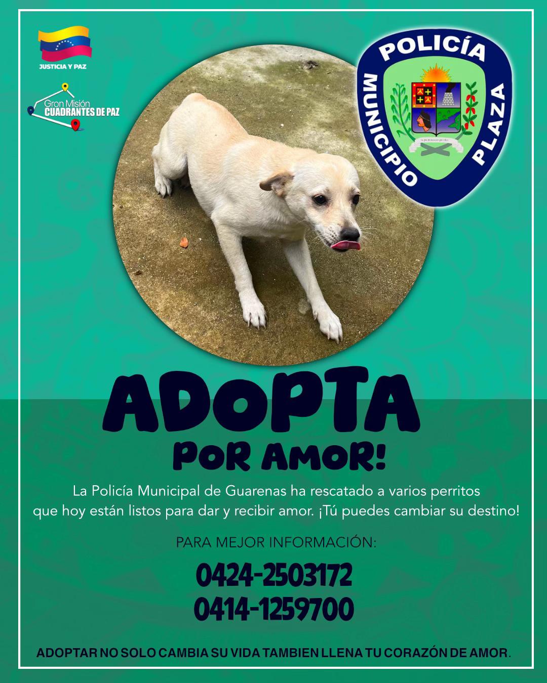 @Policía Municipio Plaza