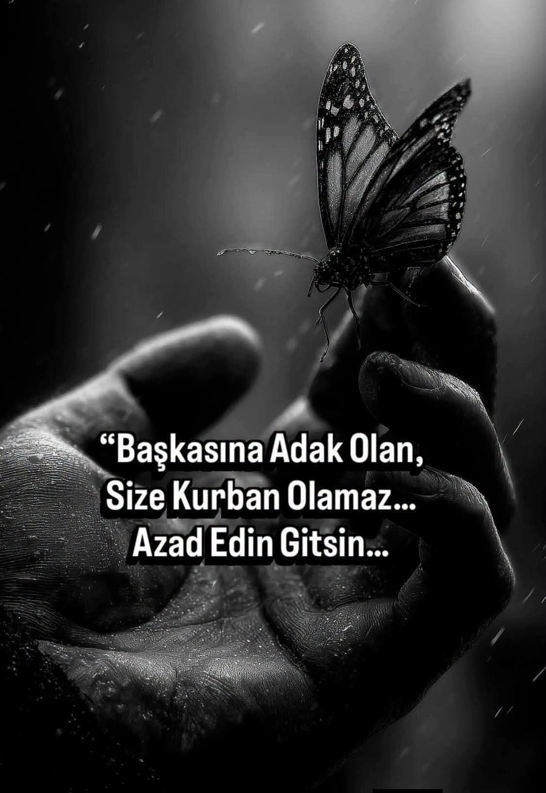 @💥💥KARAKIZ💥💥