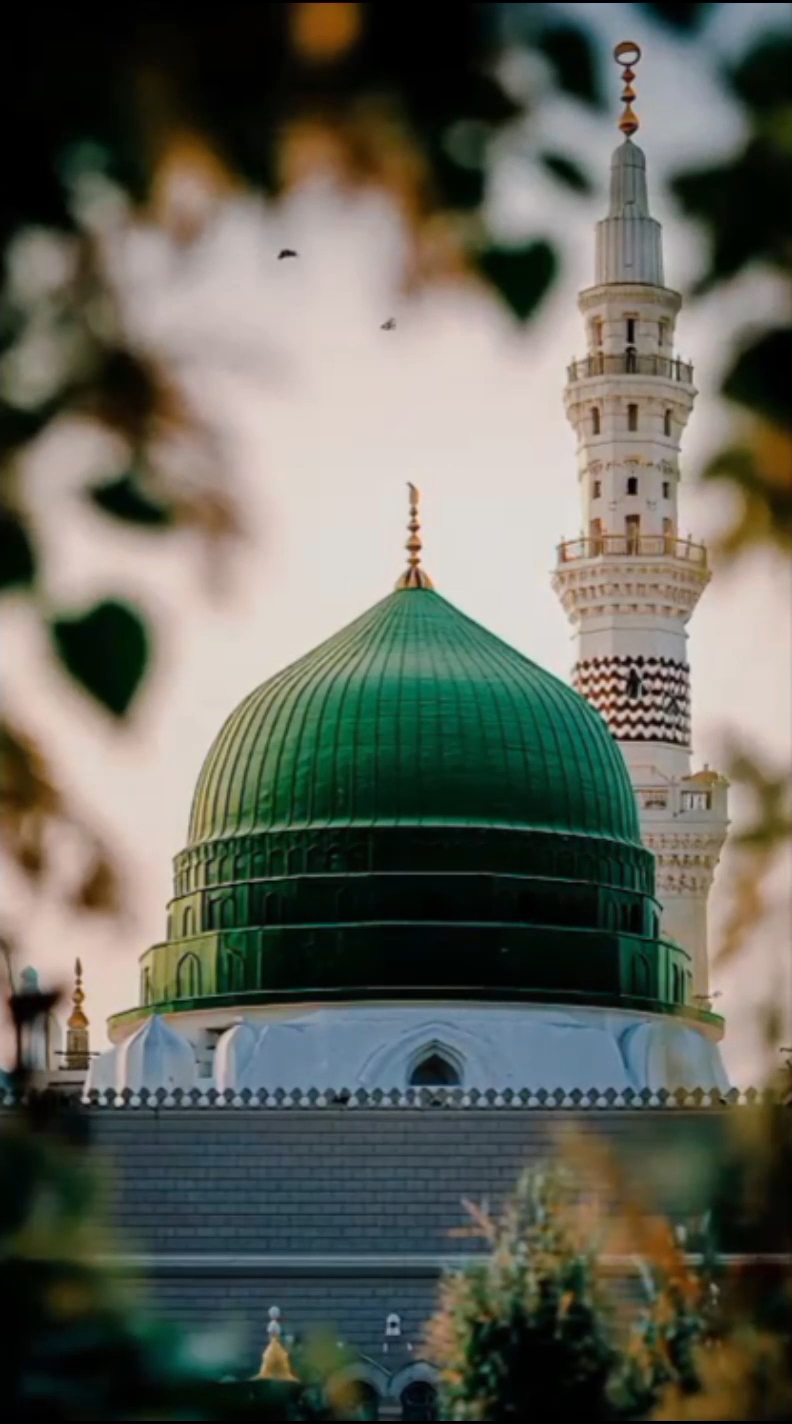 @🔥♔〘 عثمان تھیم 〙♔🔥