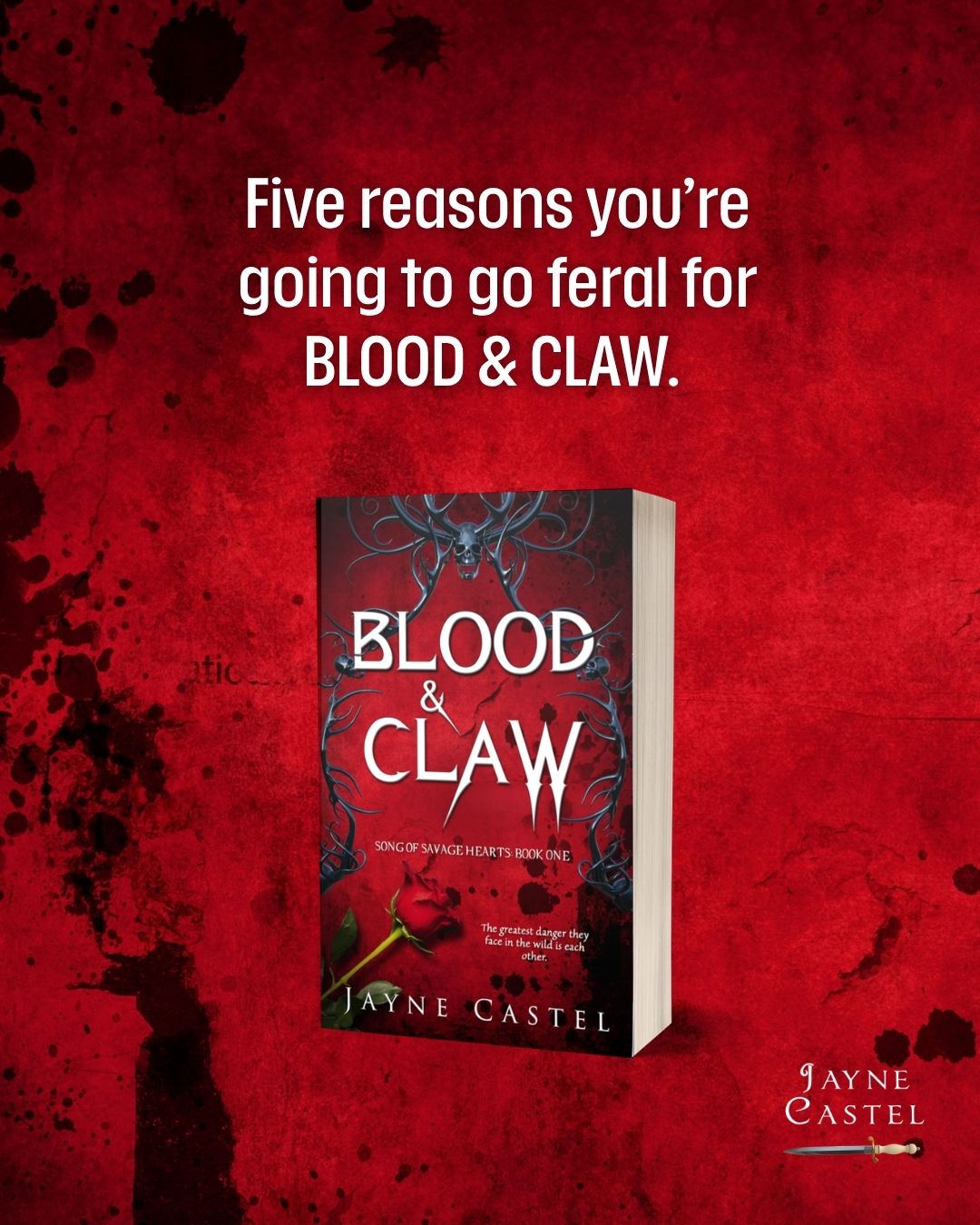 @Jayne Castel Author
