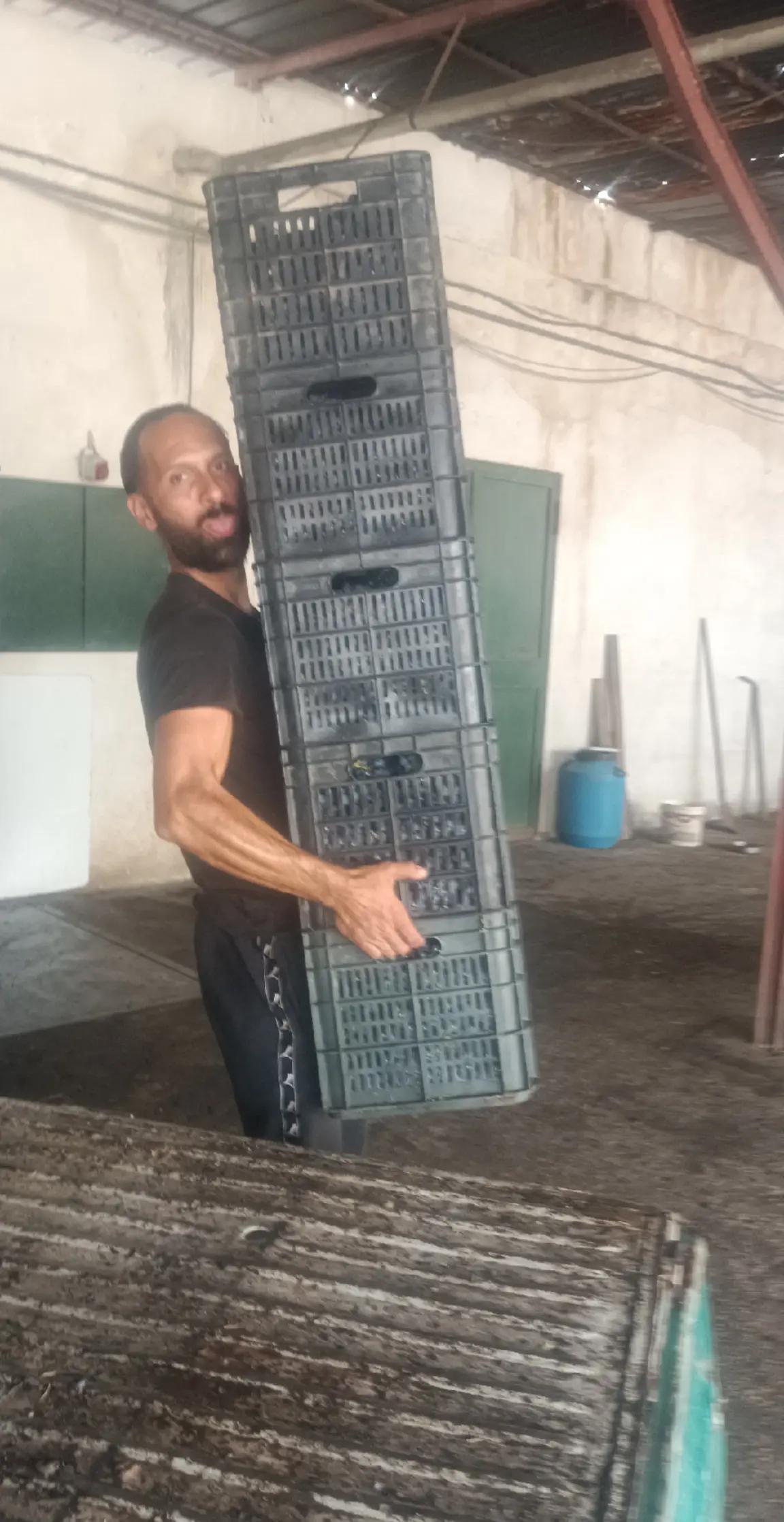 @Raf Marasca