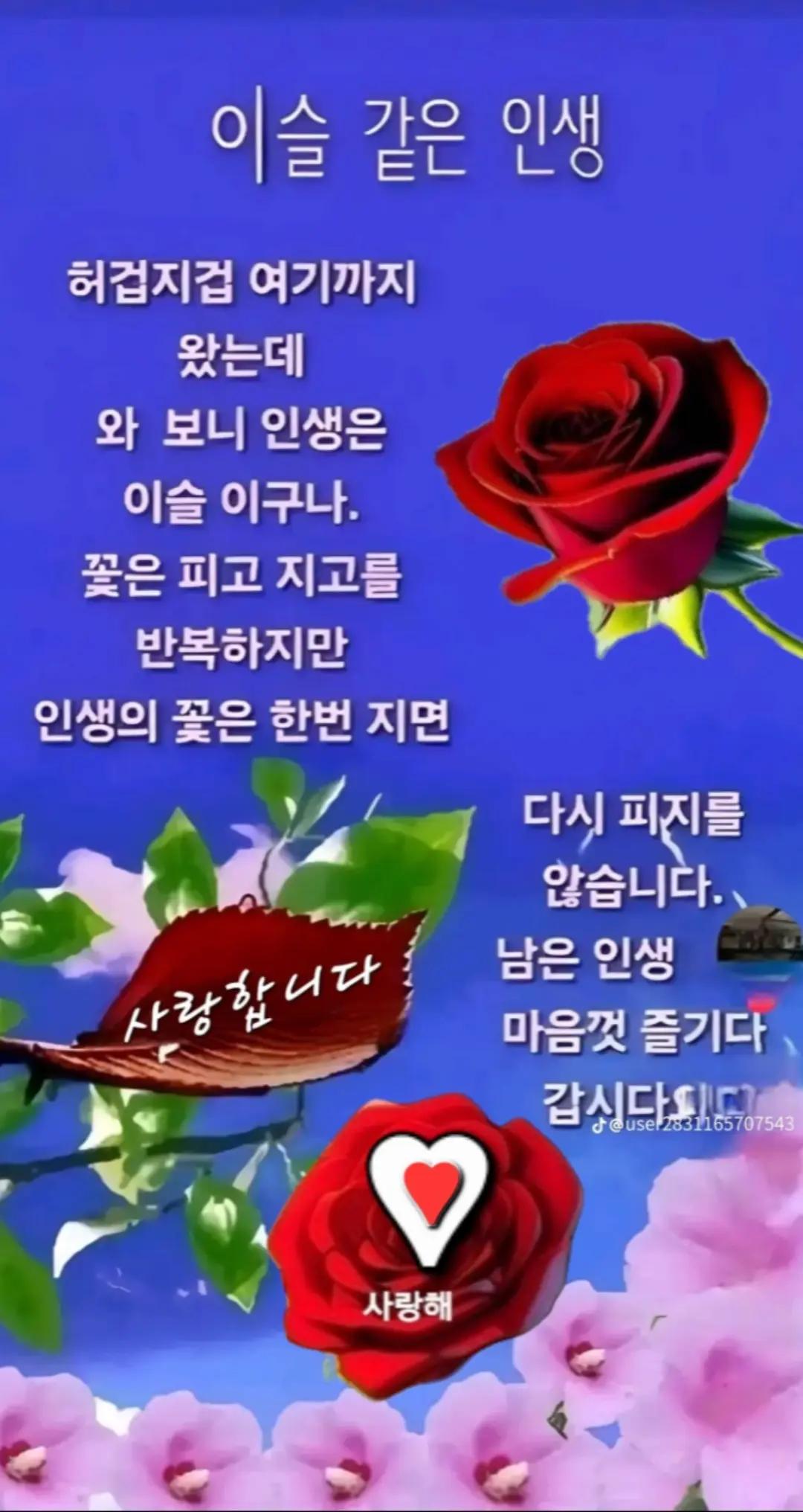 @박하욱
