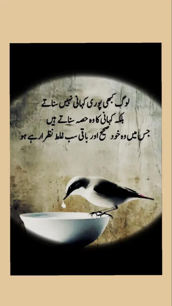 @bewafa dunya😔😔😔😔
