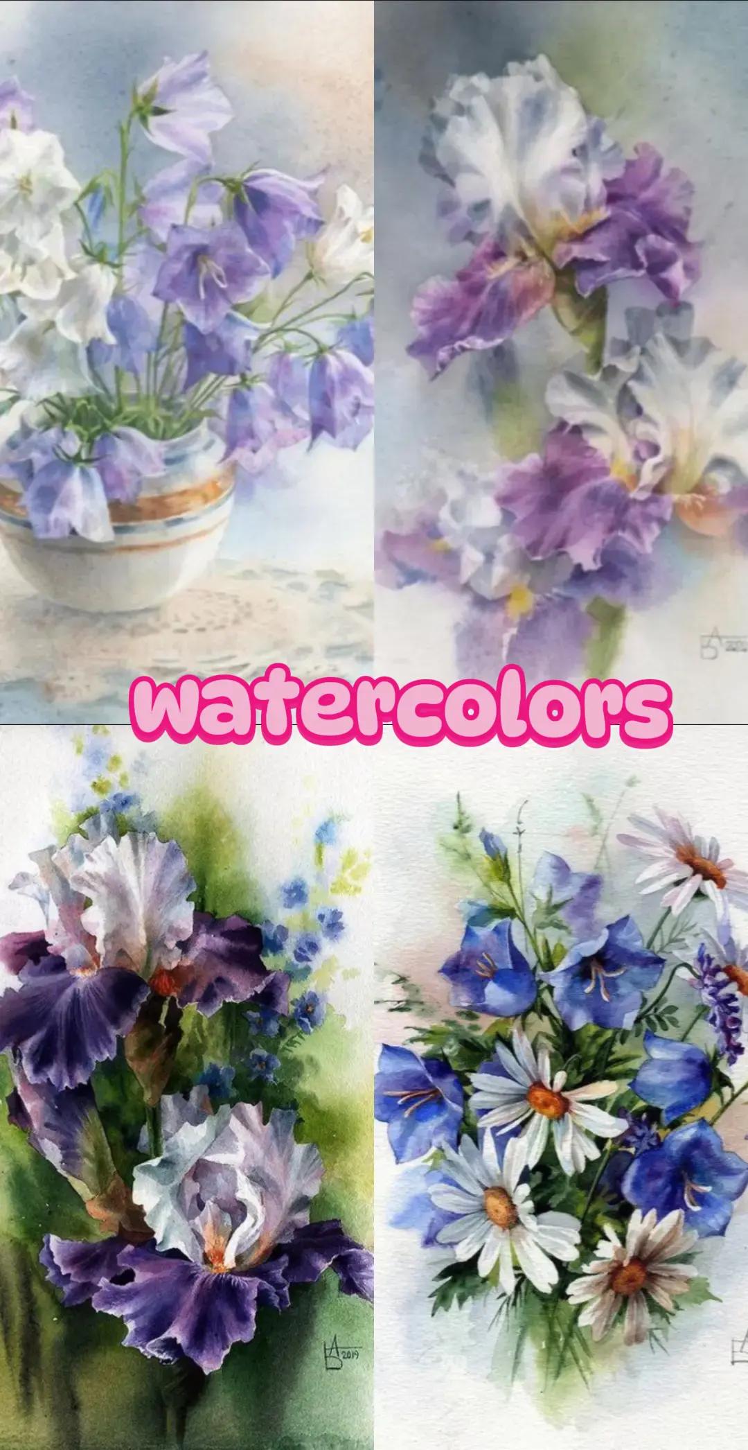 @🎨 The Watercolor Corner 🎨