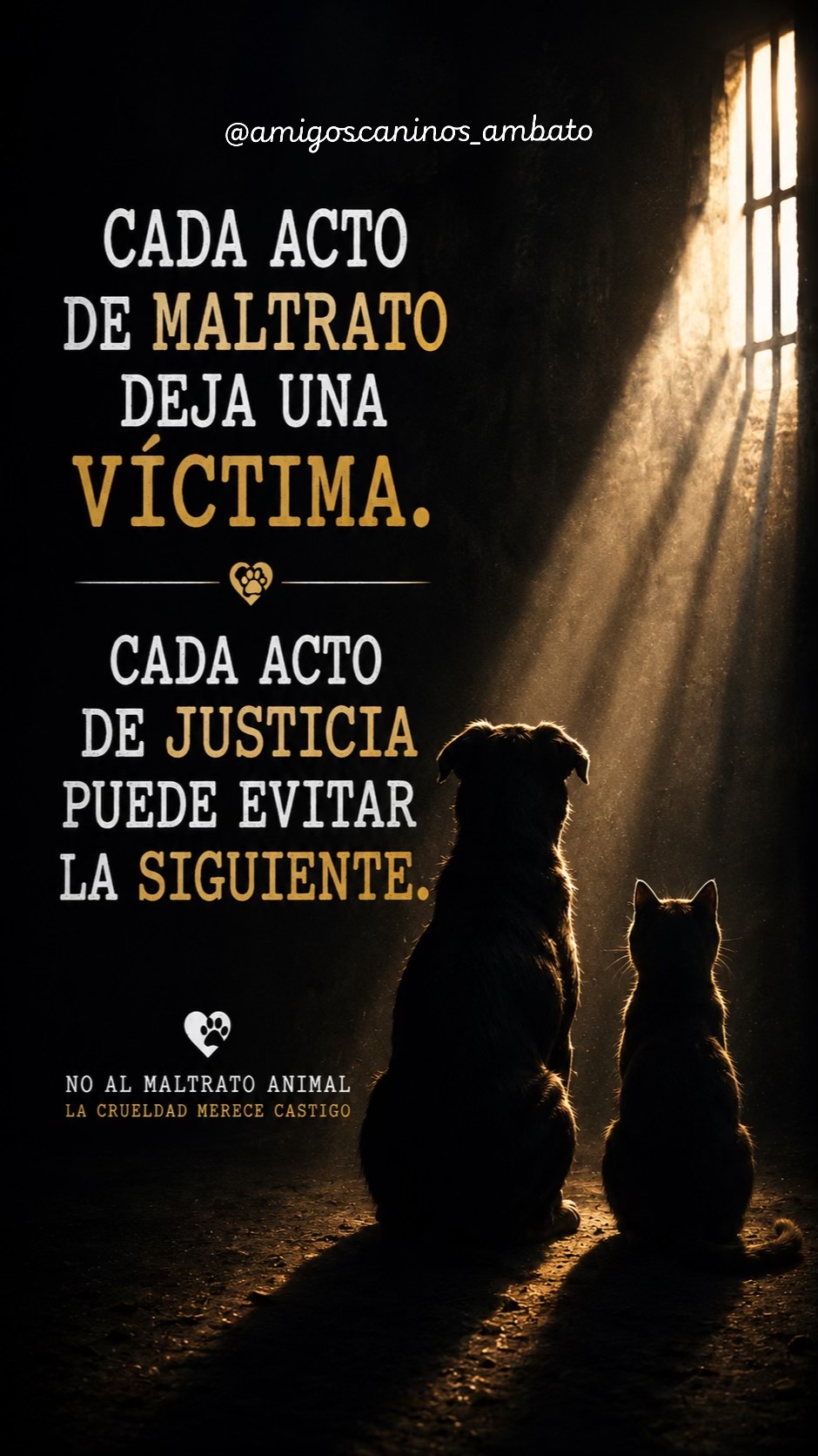 @Amigoscaninos_Ambato