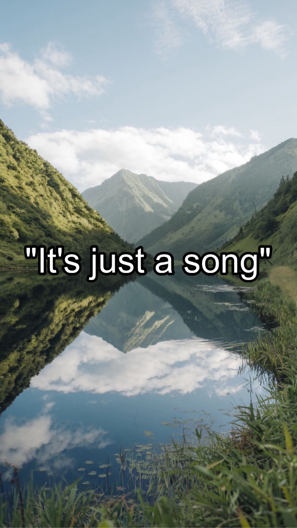 @CountryMusicEnjoyer🤠