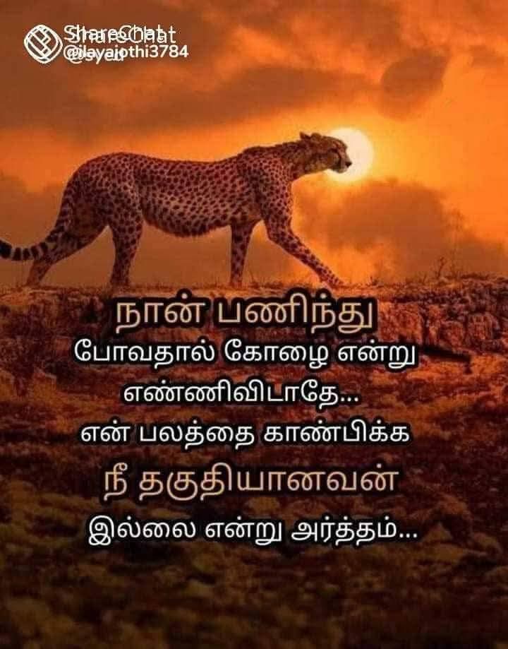 @Shamini