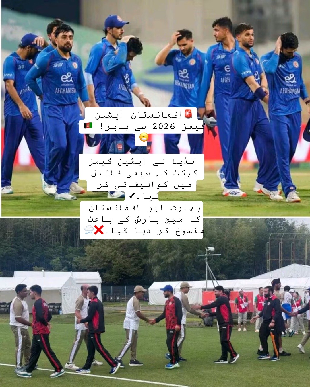 @Cricket lover🏏