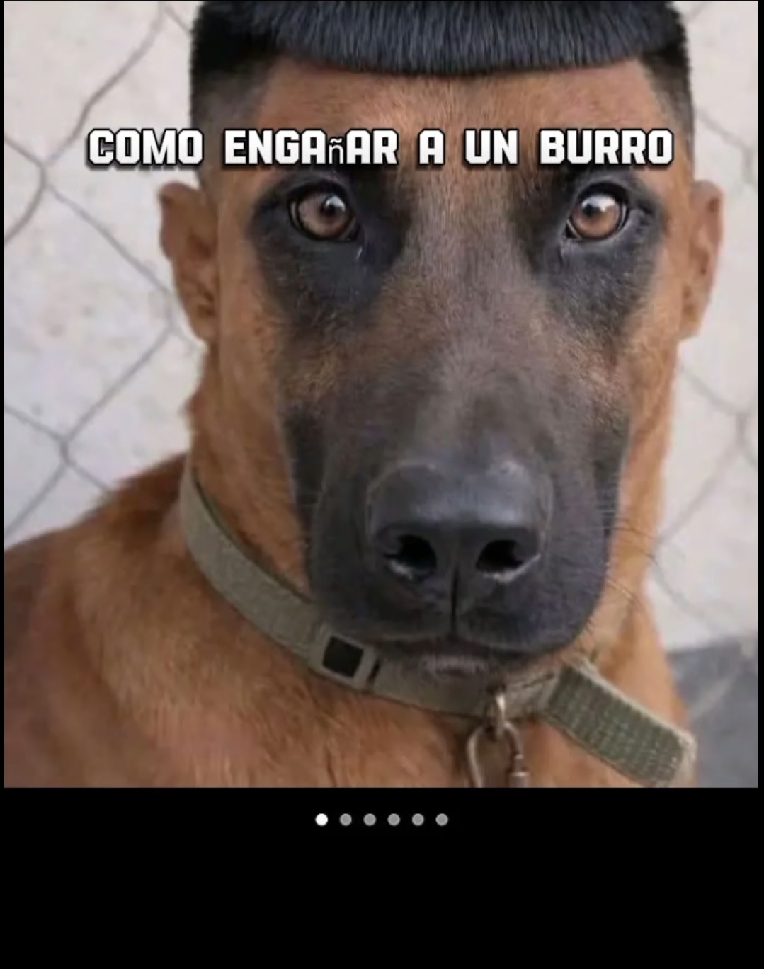 @SIMIO🦍🔥