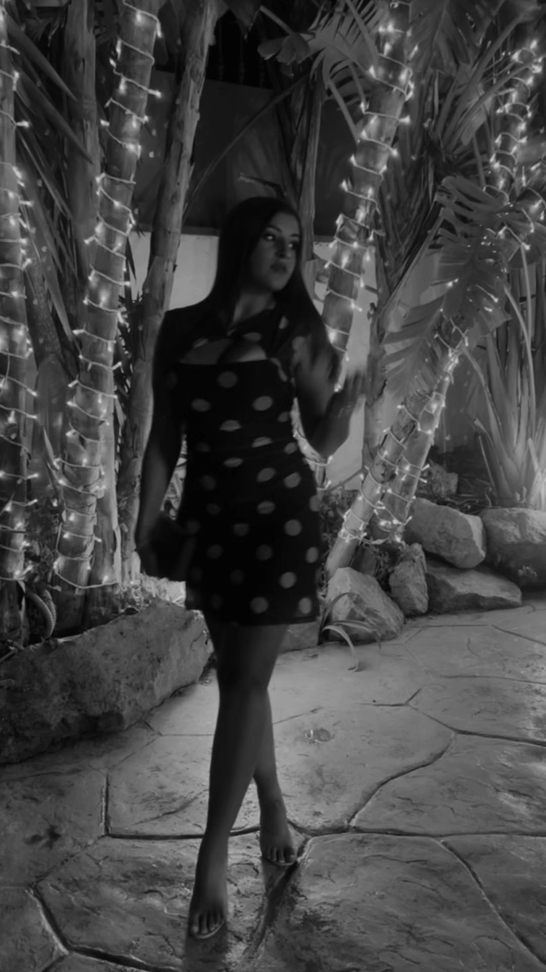 @AMBRA🐆