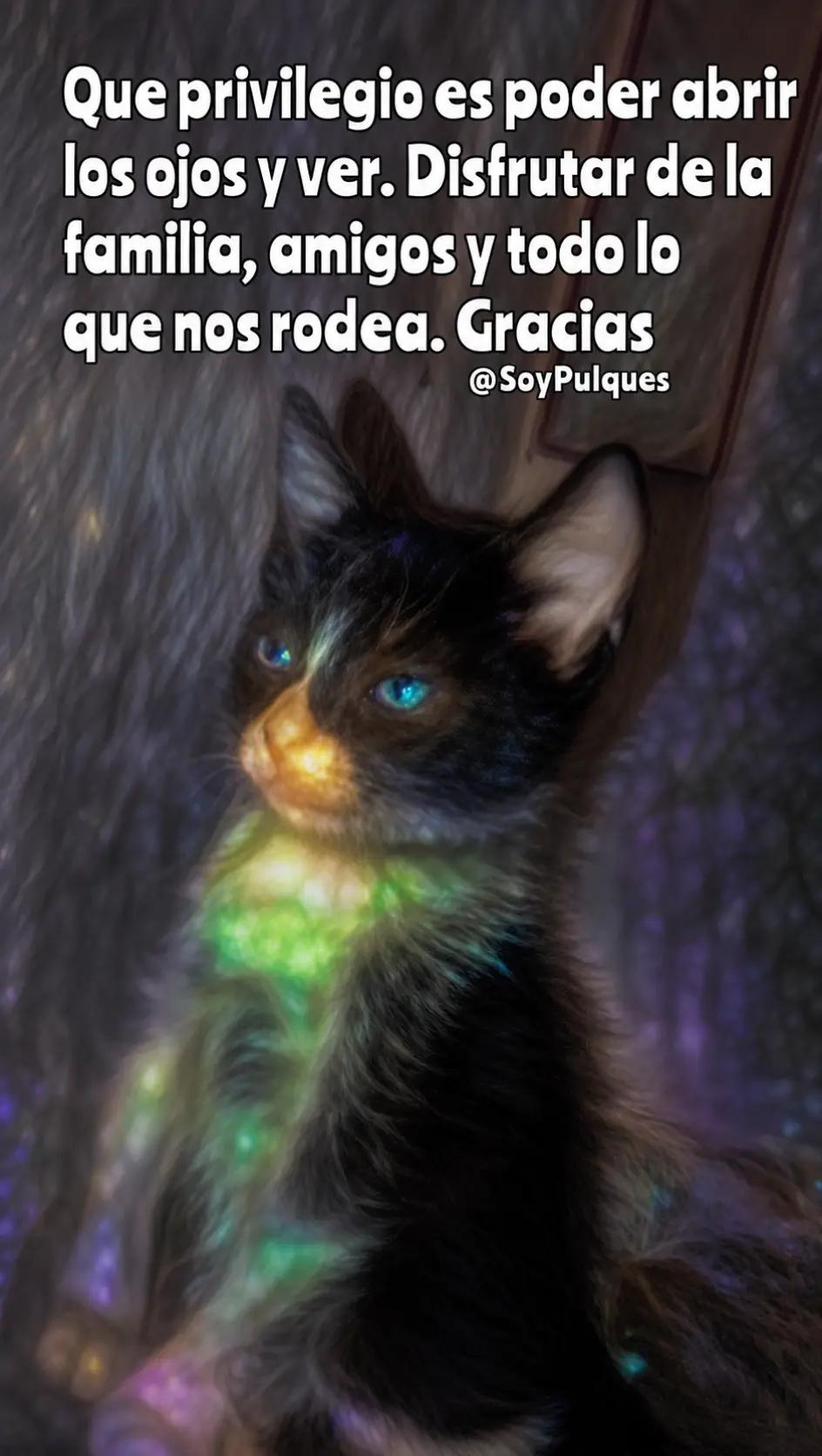 @ErickPulques