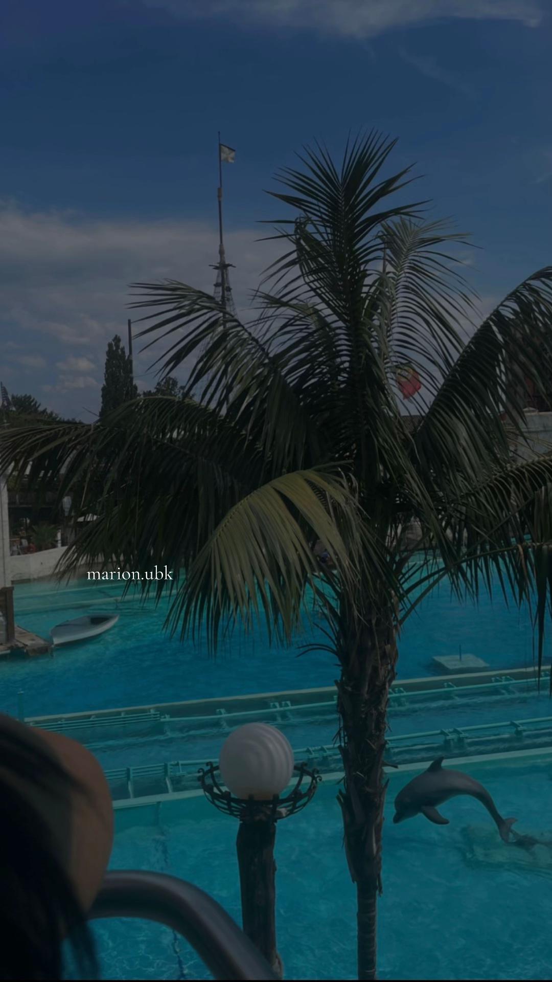 @𝒎𝒂𝒓𝒊𝒐𝒏❜