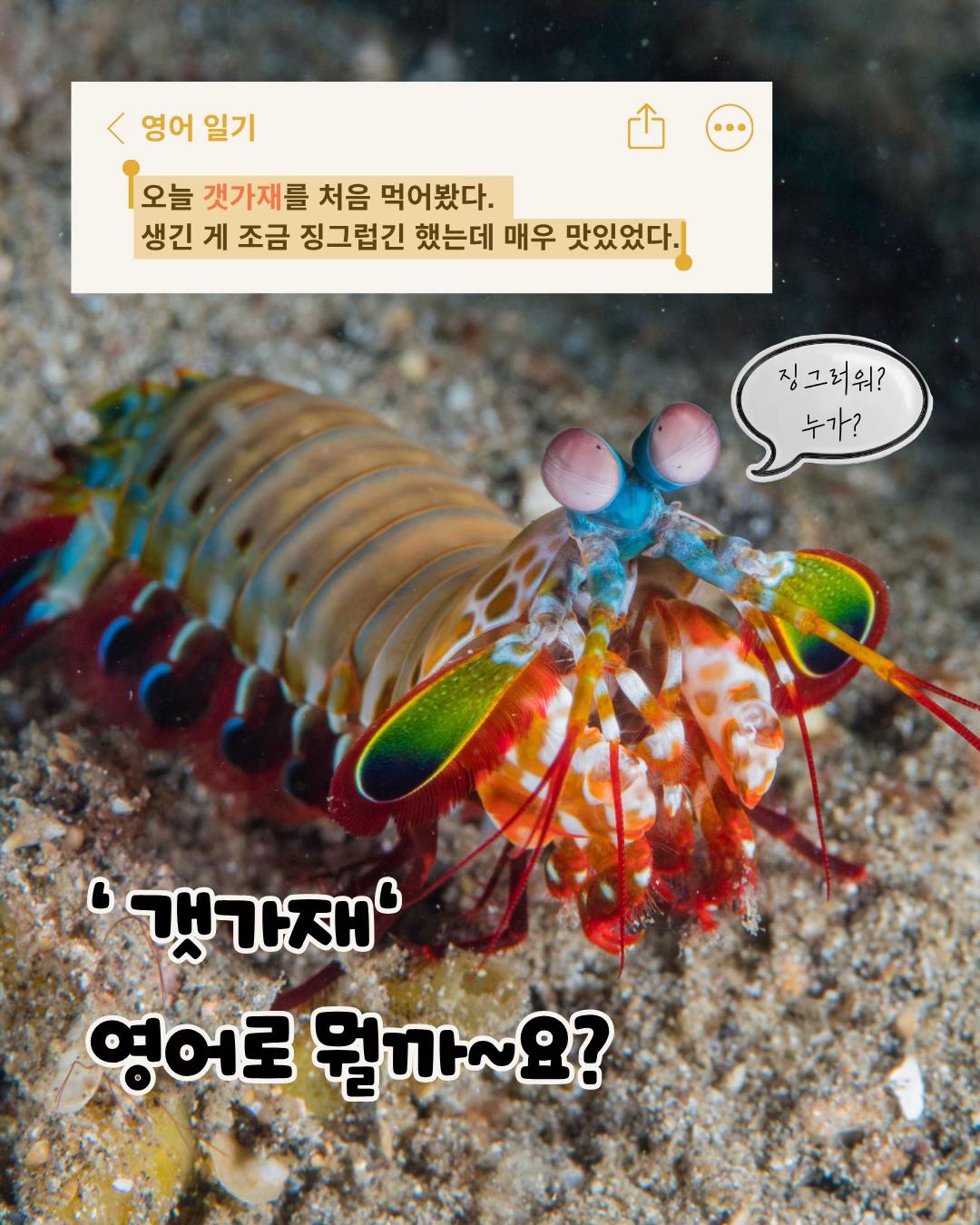 @케잇쌤
