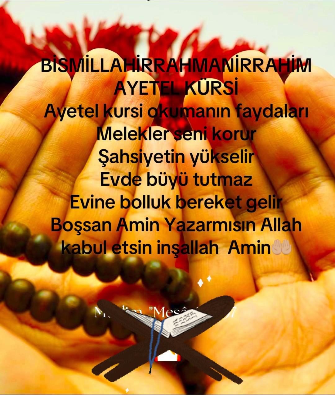 @🇹🇷Son Osmanlı 🇹🇷