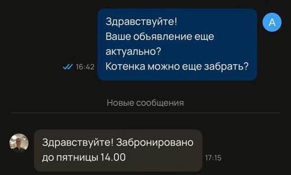 @Anastasiya