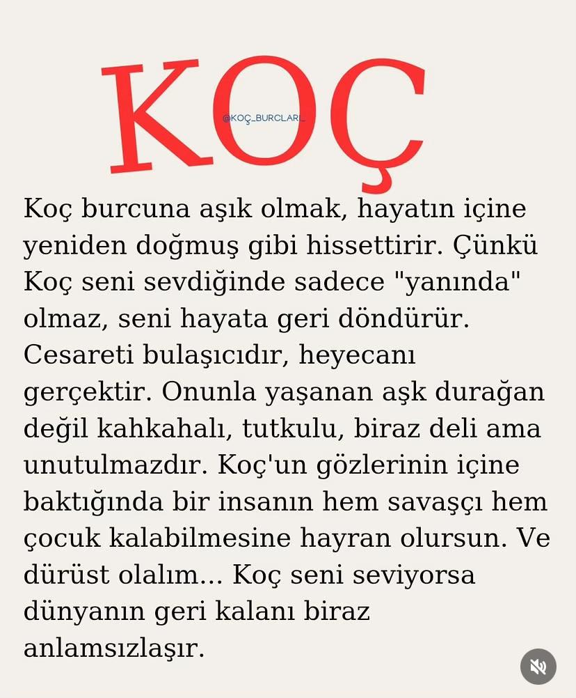 @kocburcu6