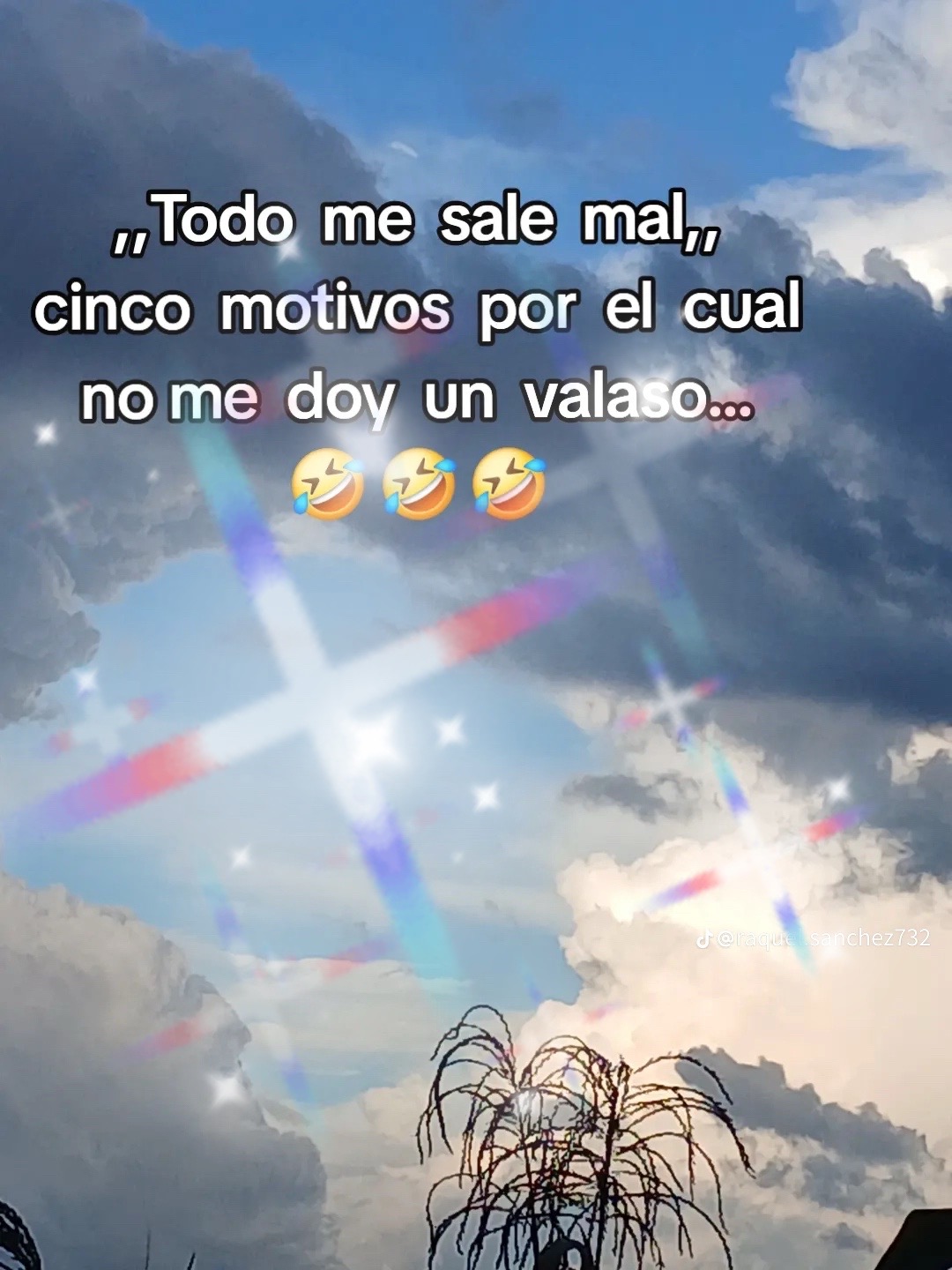 @Alicia vilches ,P