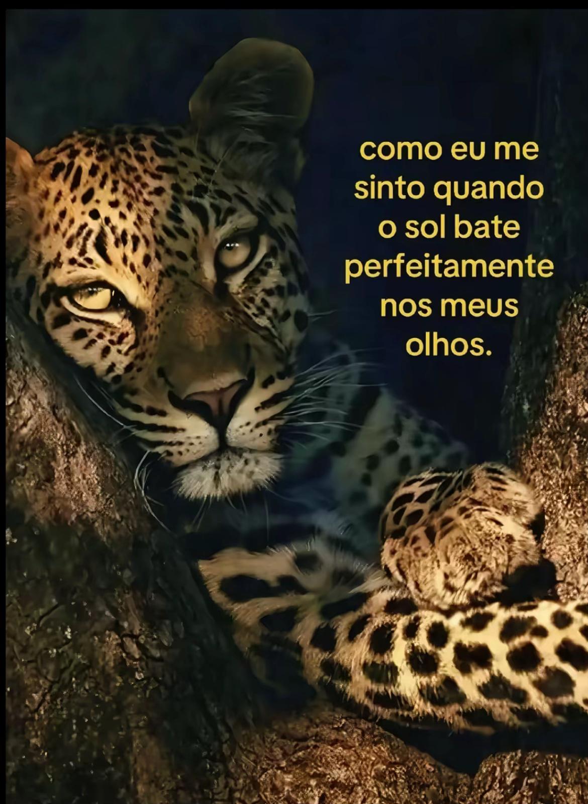 @munhoz